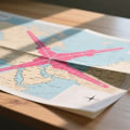 Moving by Airplane and the Importance of Planning Every Step of Your Journey