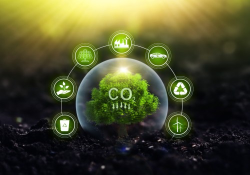 The Environmental Equation: Balancing the Carbon Cost of Air Moves with Sustainability Offsets